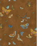 Kravet BUTTERFLIES 11 Wallpaper