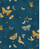Kravet BUTTERFLIES 21 Wallpaper
