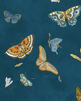 Kravet BUTTERFLIES 21 Wallpaper