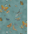 Kravet BUTTERFLIES 31 Wallpaper