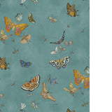 Kravet BUTTERFLIES 31 Wallpaper