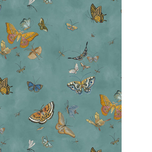 Kravet BUTTERFLIES 31 Wallpaper
