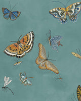 Kravet BUTTERFLIES 31 Wallpaper