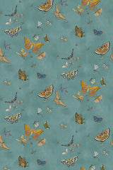 Kravet BUTTERFLIES 31 Wallpaper