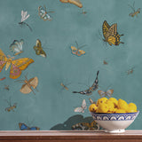 Kravet BUTTERFLIES 31 Wallpaper