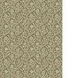 Kravet LETTI 11 Wallpaper