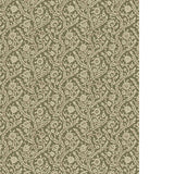 Kravet LETTI 11 Wallpaper
