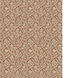 Kravet LETTI 21 Wallpaper