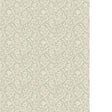 Kravet LETTI 81 Wallpaper