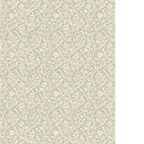 Kravet LETTI 81 Wallpaper