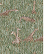 Kravet GIRAFFES 01 Wallpaper