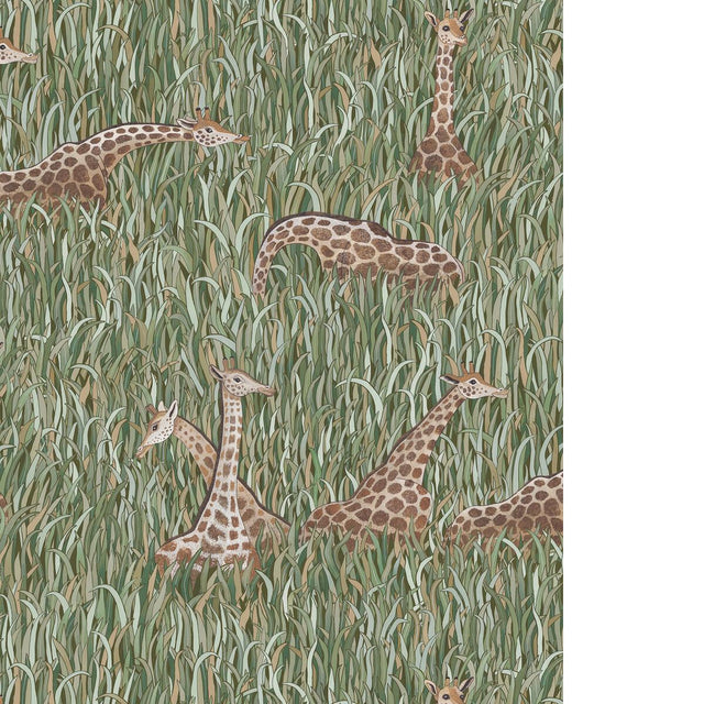 Kravet GIRAFFES 01 Wallpaper