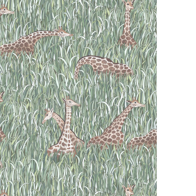 Kravet GIRAFFES 11 Wallpaper