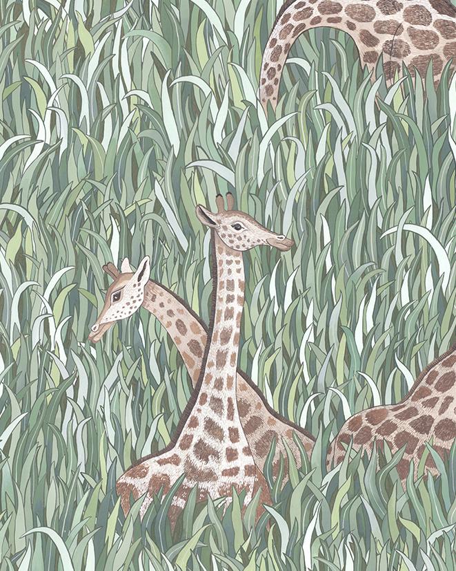Kravet GIRAFFES 11 Wallpaper