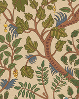 Kravet BRUSHWOOD 01 Wallpaper
