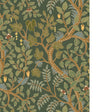 Kravet BRUSHWOOD 11 Wallpaper