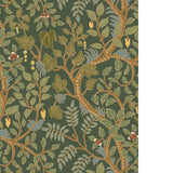 Kravet BRUSHWOOD 11 Wallpaper