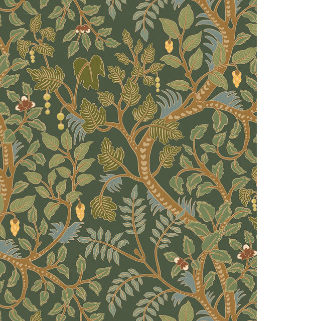 Kravet BRUSHWOOD 11 Wallpaper