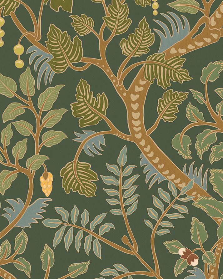 Kravet BRUSHWOOD 11 Wallpaper