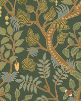 Kravet BRUSHWOOD 11 Wallpaper