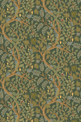 Kravet BRUSHWOOD 11 Wallpaper