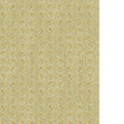 Kravet RUBIA 11 Wallpaper