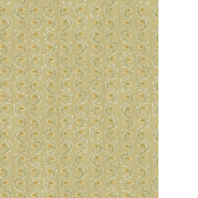 Kravet RUBIA 11 Wallpaper