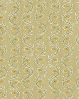Kravet RUBIA 11 Wallpaper