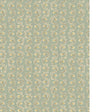 Kravet RUBIA 41 Wallpaper