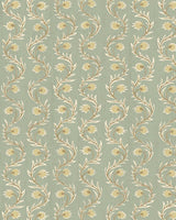 Kravet RUBIA 41 Wallpaper