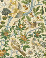 Kravet NOISE NEXT DOOR 01 Wallpaper