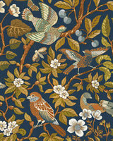 Kravet NOISE NEXT DOOR 11 Wallpaper