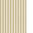 Kravet MEDIUM HAND PAINTED STRIPE 01 Wallpaper