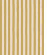 Kravet MEDIUM HAND PAINTED STRIPE 05 Wallpaper