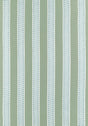 Thibaut Raritan Line Embroidery Sage Fabric