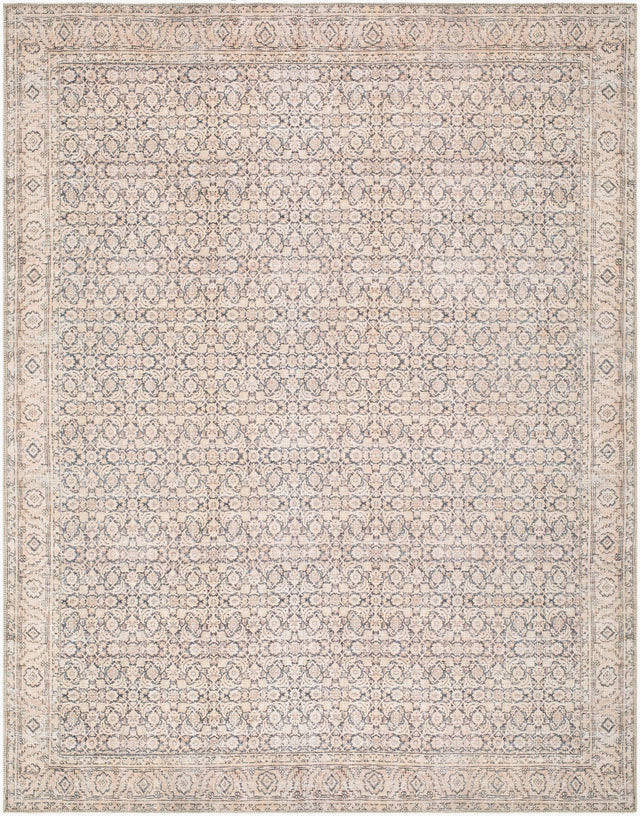 Livabliss Sylvia JYSL-2301 7'10" x 10' Machine Woven Rug