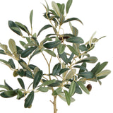 Napa  OLIVE TREE WITH FRUIT IN POT 19.5"