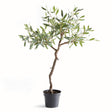 Napa Green OLIVE TREE DROP-IN 40"