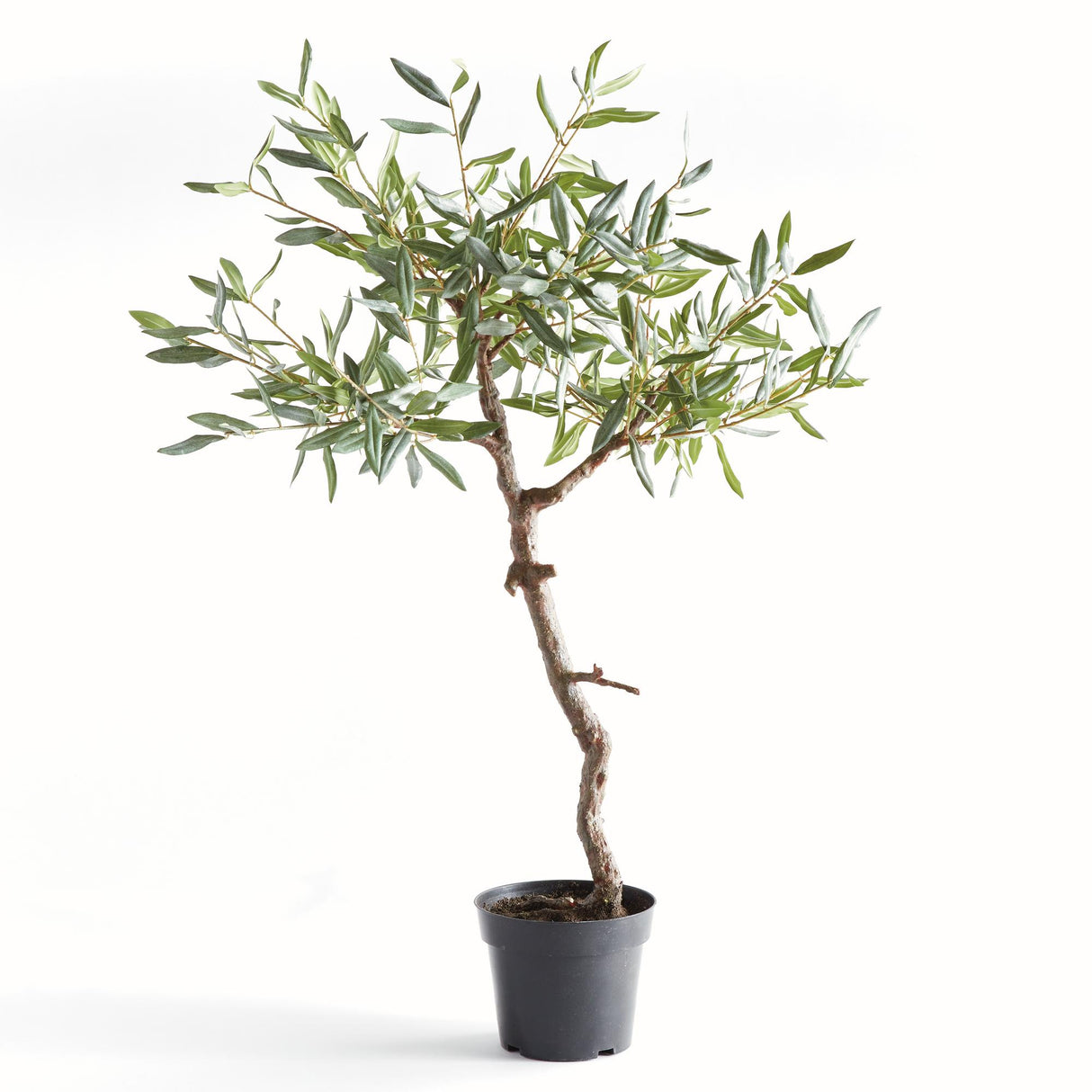 Napa Green OLIVE TREE DROP-IN 40"