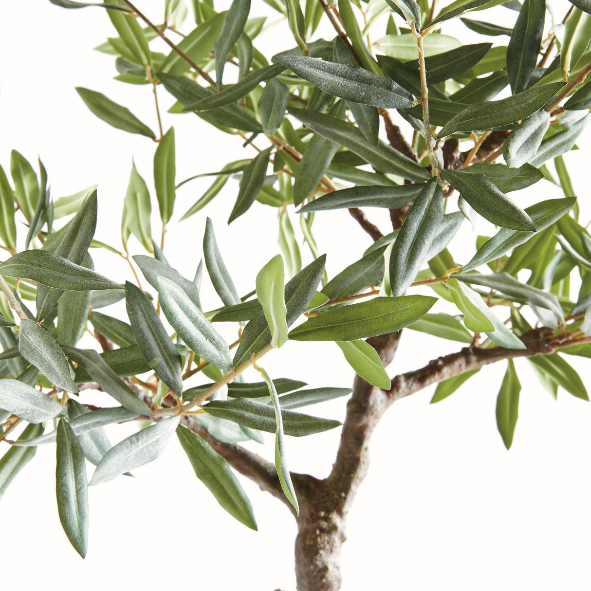 Napa Green OLIVE TREE DROP-IN 40"