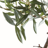 Napa Green OLIVE TREE DROP-IN 40"