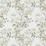 Lee Jofa CHINESE PEONY BEIGE Fabric