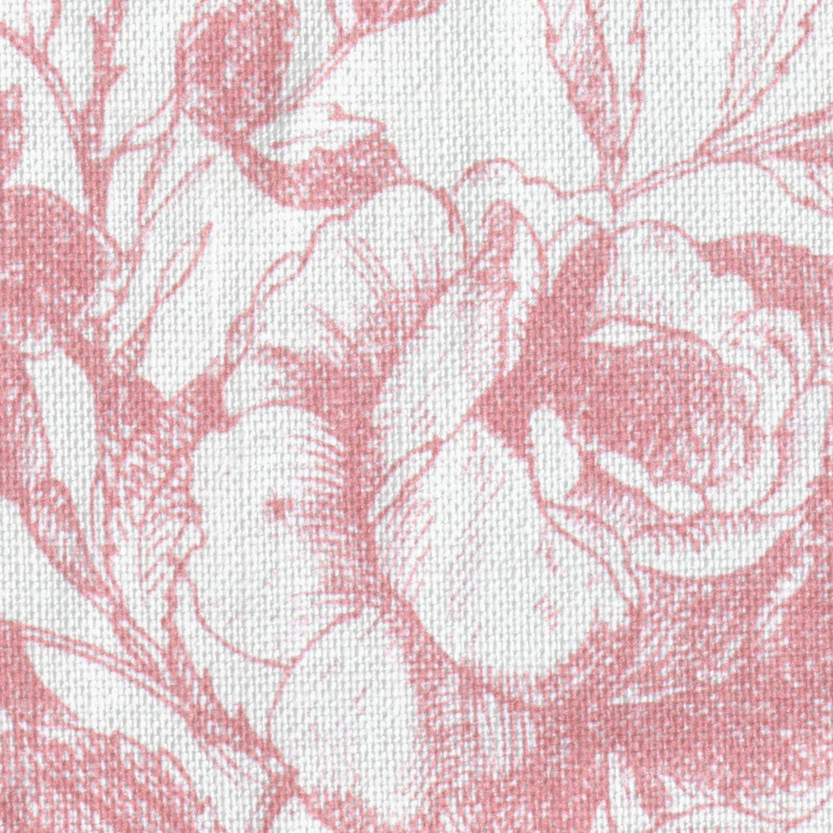 Lee Jofa TEA ROSE TOILE ROSE Fabric