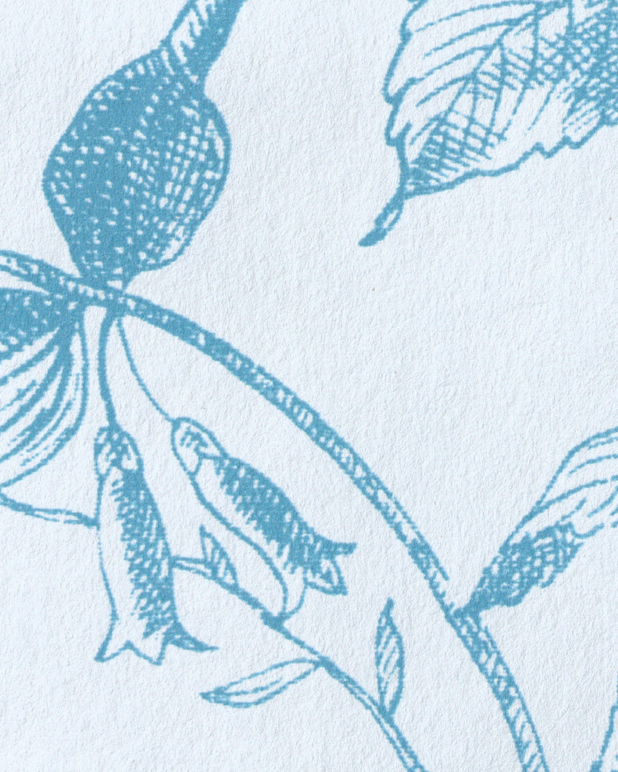 Lee Jofa TEA ROSE TOILE WP BLUE Wallpaper