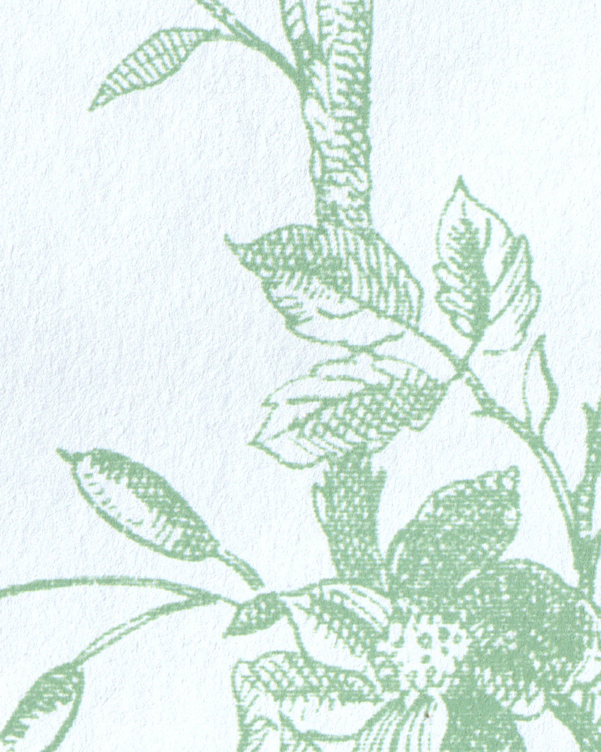 Lee Jofa TEA ROSE TOILE WP LEAF Wallpaper