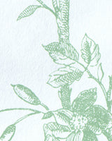 Lee Jofa TEA ROSE TOILE WP LEAF Wallpaper