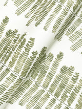A-Street Prints Lumis Green Fern Stripe Wallpaper