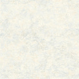 York Canaveral Blue Nautical Chart Wallpaper