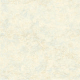 York Canaveral Wheat Nautical Chart Wallpaper