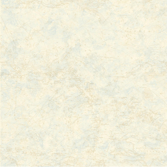 York Canaveral Wheat Nautical Chart Wallpaper
